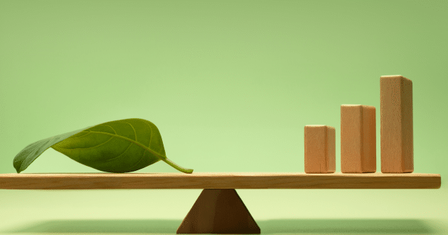 Sustainable investments with low risk